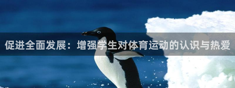 蚂蚁体育app下载安装：促进全面发展：增强学生对体育运动的认识与热爱