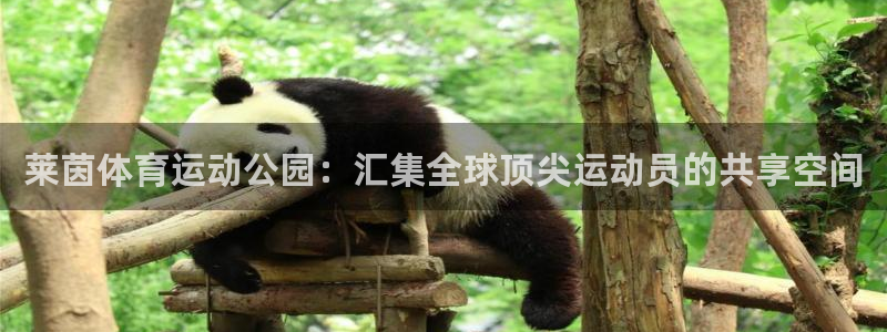 蚂蚁体育看球下载最新版本安装：莱茵体育运动公园：汇集全球顶尖运动员的共享空间