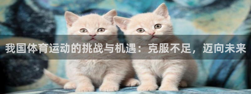 蚂蚁体育要钱吗：我国体育运动的挑战与机遇：克服不足，迈向未来