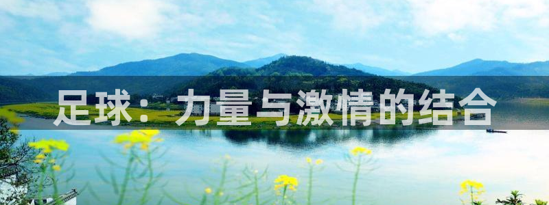 蚂蚁体育免费下载安装：足球：力量与激情的结合