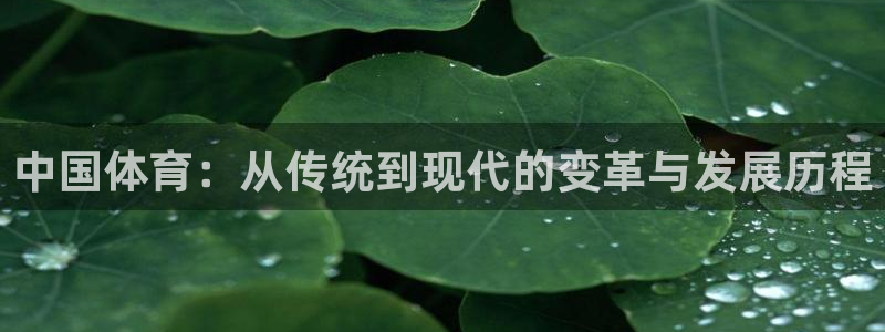 蚂蚁体育看球下载最新版本安装：中国体育：从传统到现代的变革与发展历程