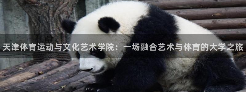 蚂蚁体育cba：天津体育运动与文化艺术学院：一场融合艺术与体育的大学之旅