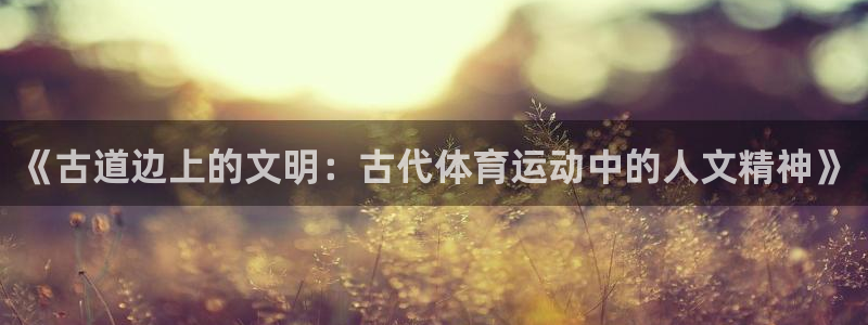 蚂蚁体育app下载安装：《古道边上的文明：古代体育运动中的人文精神》