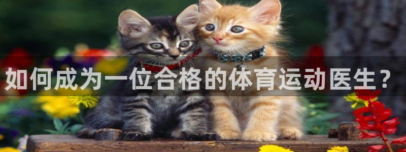 蚂蚁体育买的是正品吗：如何成为一位合格的体育运动医生？