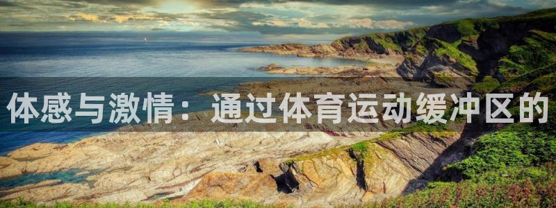 蚂蚁体育网页版登录：体感与激情：通过体育运动缓冲区的